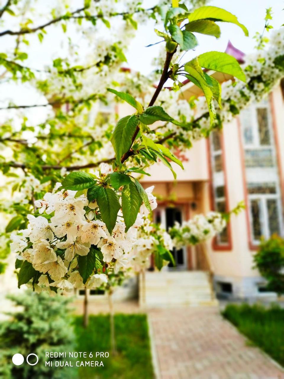 Rakat Inn Navigator Taşkent Dış mekan fotoğraf